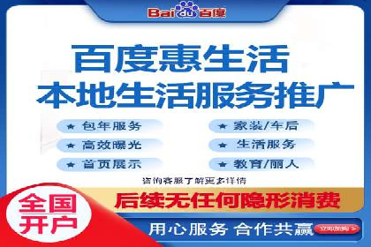 某行业领军企业的SEM广告投放策略